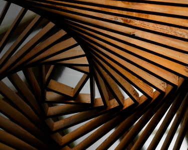 Protezione del legno